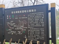 -重庆彩云湖湿地公园