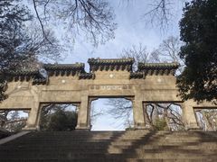 -灵谷景区