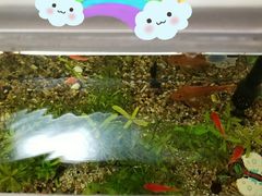 -好宜家眼视光·蔡司店(临汾店)