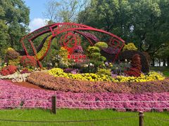 -上海共青森林公园