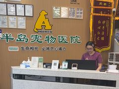 -半岛宠物医院24小时·内窥镜·牙科·碎石中心(府城大道店)