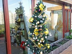-小茶闲舍·观景商务茶馆(广州塔店)