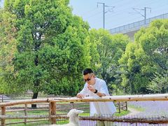 -秀丽东方