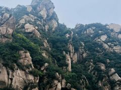 -大岭沟猕猴桃谷风景区