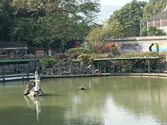 -陶祖圣境风景区