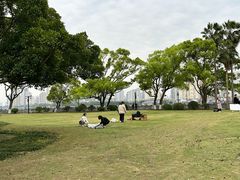 -江心屿景区