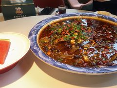 -新概念来凤鱼(璧山店)