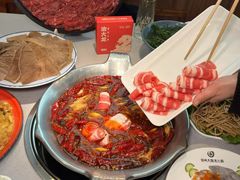-渝大龙重庆火锅(温泉月亮湾店)