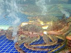 -欢乐海岸美食联盟