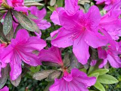 -龙湖重庆时代天街