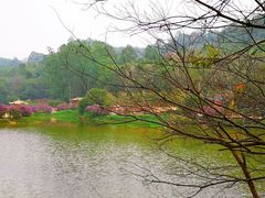 -南国桃园旅游度假区