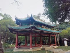 -柳侯公园