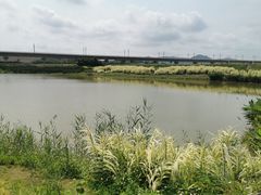 -光明小镇欢乐田园