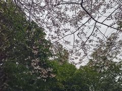 -石峰公园