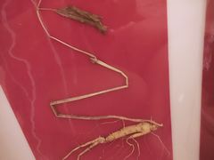-纽斯洗浴SPA(三墩店)