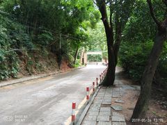 -火炉山森林公园