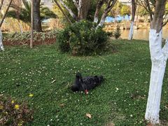 -云南艺术学院(呈贡校区)