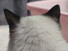 -娴店烘焙·蛋糕工作室