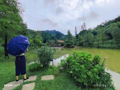 -云溪植物园