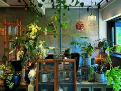 -青莯_Percher Coffee Shop(皮市街店)