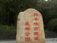-羚羊峡古栈道森林公园