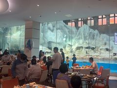 -帝企鹅自助餐厅•儿童岛•真企鹅(长隆企鹅酒店)