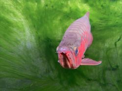 -青木造型HAIR·あおき髪を刈る潮人店