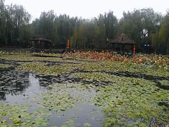 -天赐温泉
