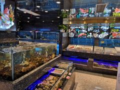 水产区-乾隆美食·本帮菜(黄河路店)