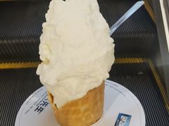 -野人牧坊Gelato(天津南开大悦城店)