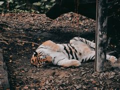 -广州长隆野生动物世界