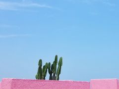 -漳州滨海火山岛自然生态风景区