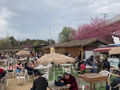 -秀丽东方