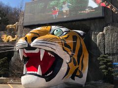 -栾川竹海野生动物园