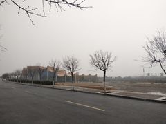 -隋唐大运河文化博物馆