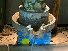 -珺小七铜锅涮肉(桃园路店)