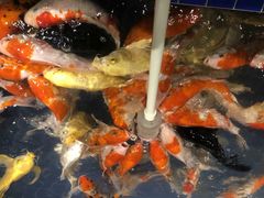 -昆明大悦城未来动物城(螺蛳湾中心店)