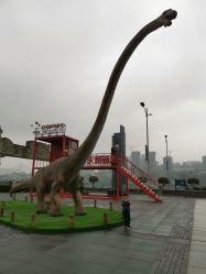 -恐龙探索乐园(磁器口店)