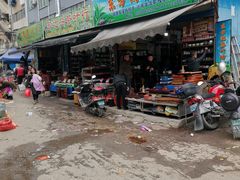 -桂林市花鸟市场