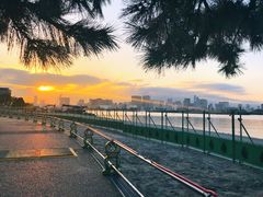 -台场海滨公园船码头