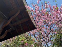 -桃花岛景观公园