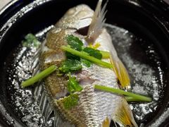 -陈鹏鹏潮汕菜(欢乐海岸 海边景观店)