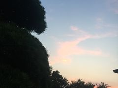 -旅马餐厅(茅家埠店)