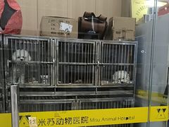 -米苏动物医院·犬猫专科·骨科外科内窥镜