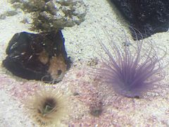 -梦幻海洋王国(吾悦广场张家港店)