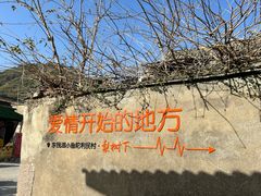 -东钱湖旅游度假区