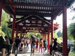 -国恩寺
