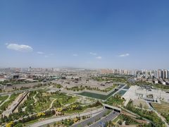 -东方削面(市政府店)