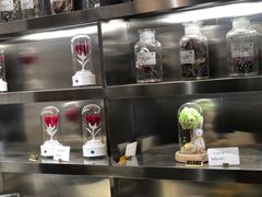 -植物学家的女儿(北马道巷店)