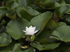 -前关湿地公园